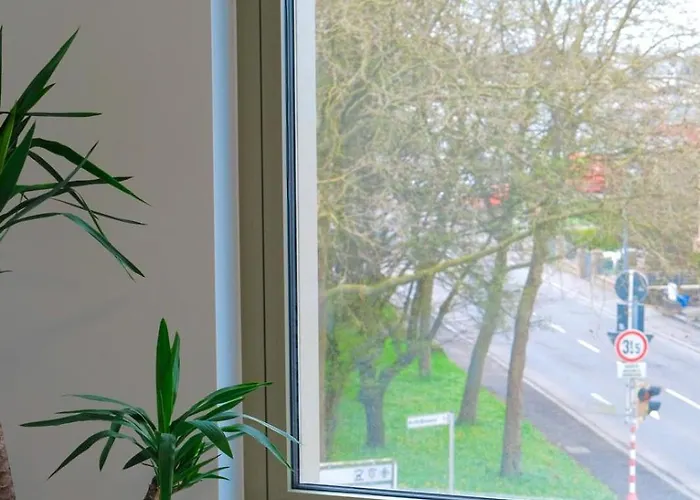 Nike Pallas 2 Beds * לוקסמבורג